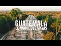 GUATEMALA, LE MONDE DES MAYAS (TIKAL, YAXHA)