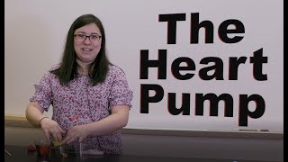 Heart Pump Experiment
