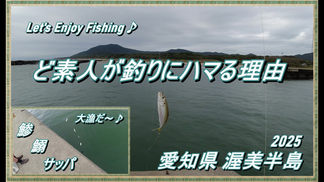 初心者だって爆釣だった！ 秋の人気堤防は サビキ釣り が面白い～ (^^♪ 【 愛知県 海釣り 堤防釣り アジ イワシ サッパ 】