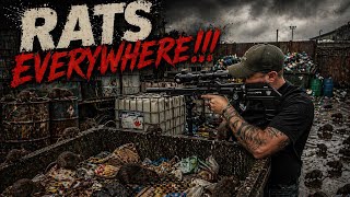 Rats Everywhere!! Daytime rat shooting!! |hunting |vermin |pestcontrol 