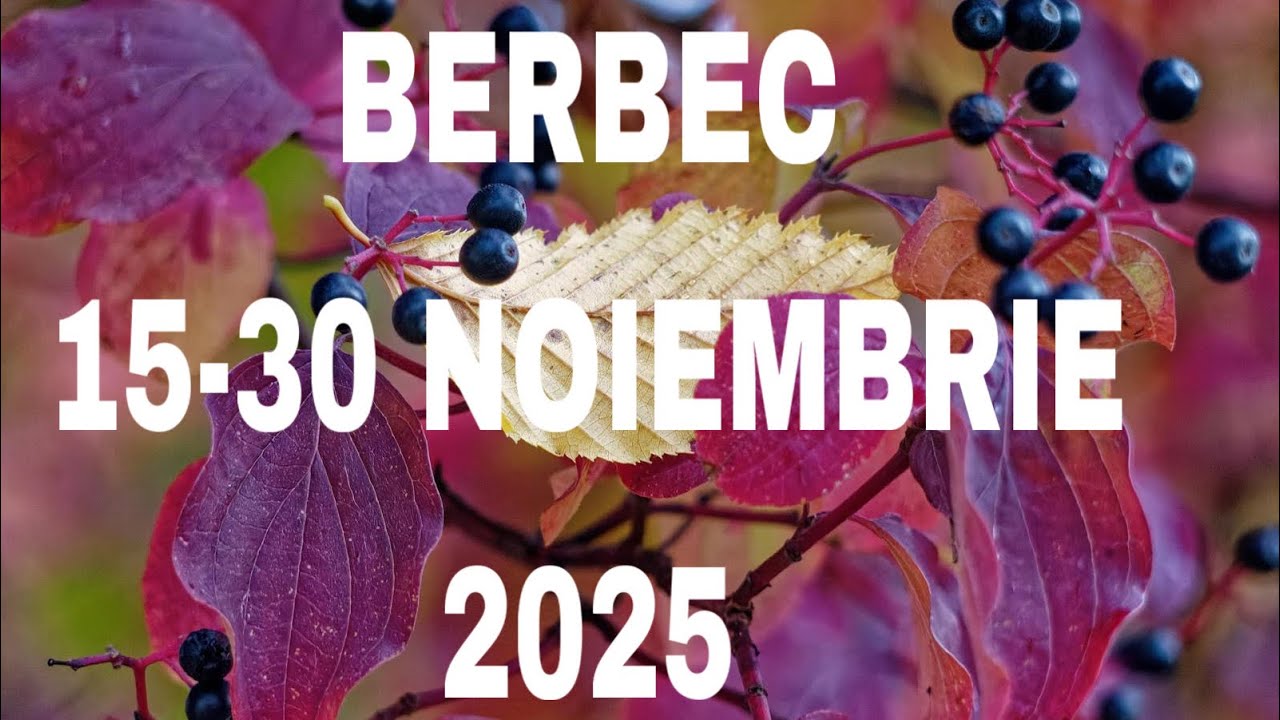 BERBEC ♈VEI IEȘI DIN IMPAS MAI BINE DECÂT TE-AI FI AȘTEPTAT 🙏🏻😇♥️💯🥰