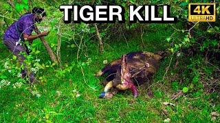 Tiger killing കടുവയെ പിന്തുടർന്ന് കാട്ടിൽ കയറിയപ്പോൾ കണ്ട ഭയാനകമായ കാഴ്ച | Parambikulam Trekking 4K