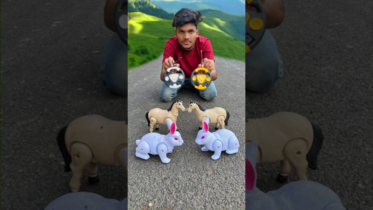 2 Rc Rabbit 🐇 With Remote Control Horse 🐎 Dakho 🔥