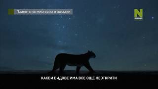 Планета На Мистерии И Загадки По Viasat Nature