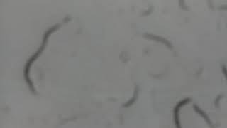 Weather Cam Facing Up in Yuma, Az  2020-02-10 (day)