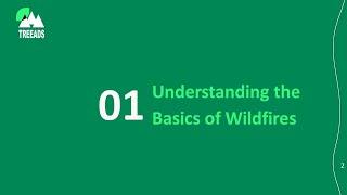 TREEADS Course 1.1 Understanding the basics of wildfires