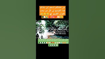 تلاوه جميله ومؤثره لي الشيخ ماهر المعيقلي حفضه الله #اكسبلور #دويتو #لايك #تيك_توك #ترند #duet