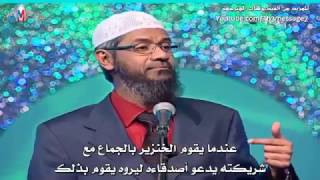 13. Misconceptions about islam Why does Islam prohibit eating pork