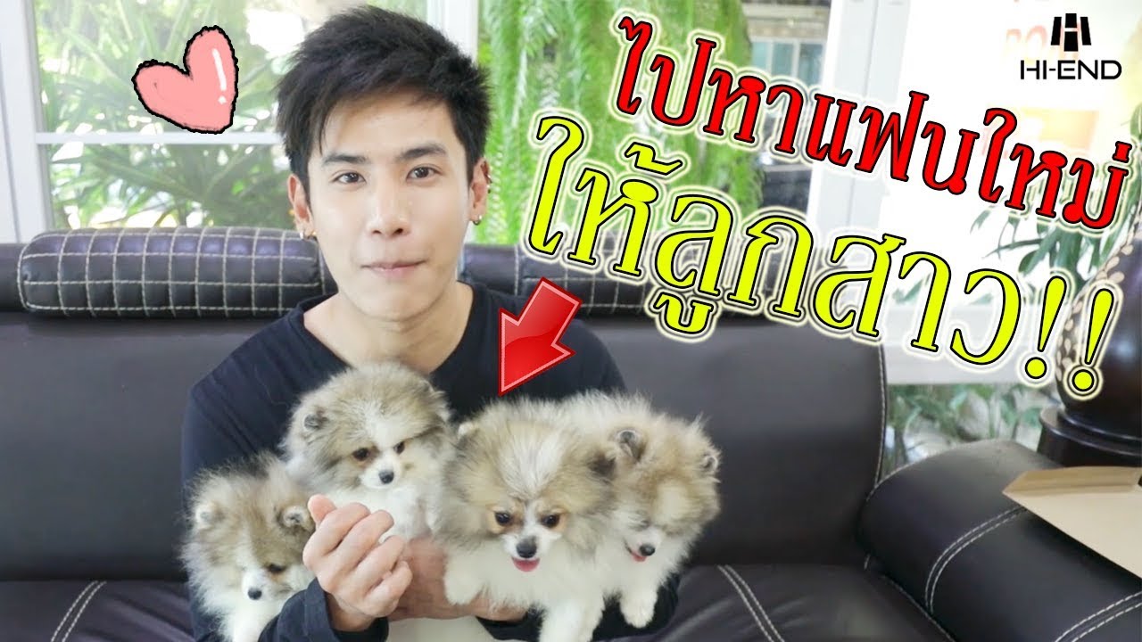 หาแฟนตัวแรกให้หมาน้อย! เลือกตัวไหนดี!? l ก็ผมมีลูกเป็นหมา EP.34
