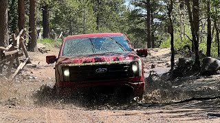 3 Rivians & A F-150 Lightning Hit The Trail Together For A Fun Weekend Morning Adventure