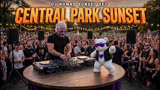 Sunset Lofi House DJ Nomad ft TEDZ Central Park Sunset, New York πΊπΈ