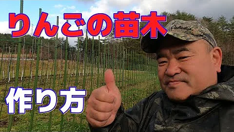 なえぎ Mp3 なえぎ Mp3