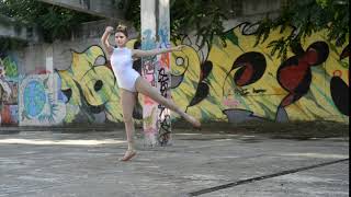 512102B Hdw Dance White Nylonlycra Mesh High Neck Leotard With Zipper Back