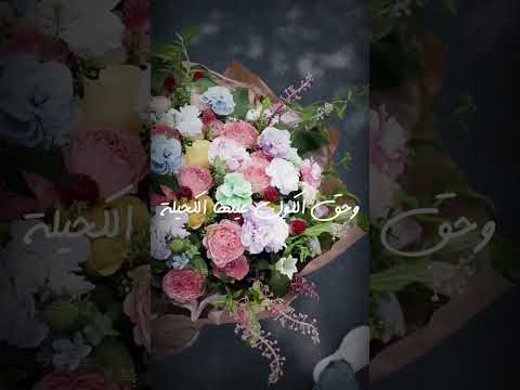ع دروب الورد مشوا الأصيلة دون موسيقى