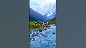 #القارئ سعد الغامدي #اكسبلور #المصحف #اذكرالله #لايك #تيك_توك #راحة_نفسية #حالات_واتس #duet #دويتو