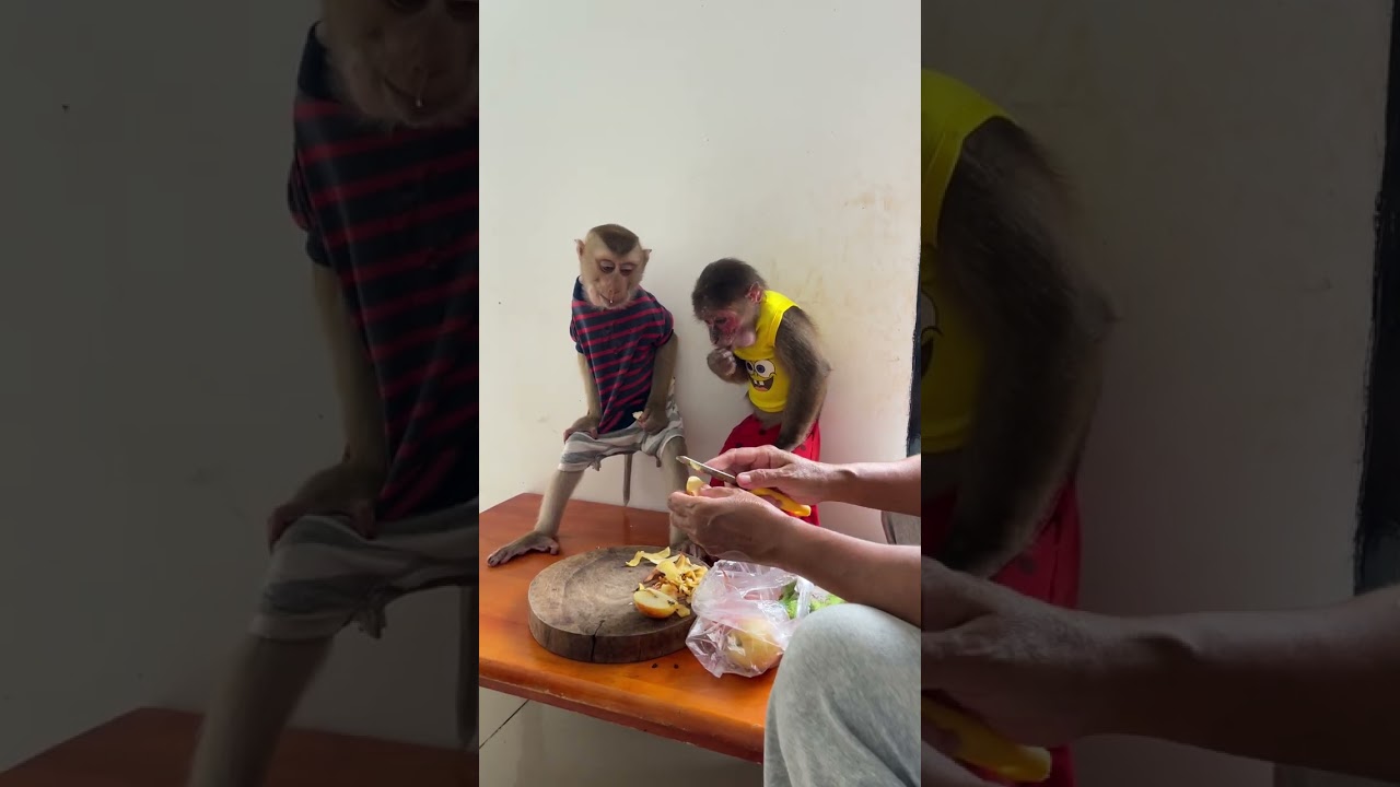 Bryan and Icy taste it all 