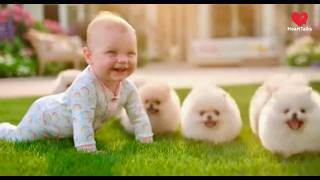 Cutest Baby & Puppy Moments Ever Heart-Melting Dog Reactions Compilation