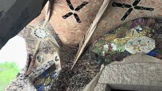 IMG 3713 IMG 3713