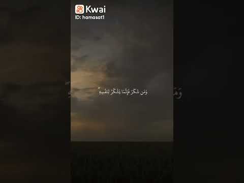 محمود انات همسات اسلاميه اشكر الله دائما وأبدا