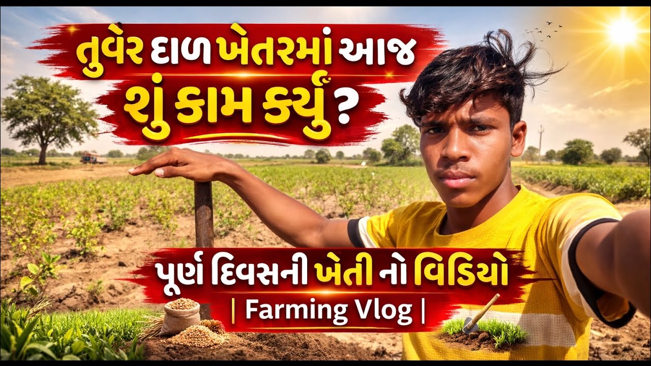 તુવેર દાળ ખેતરમાં આજે શું કામ કર્યું ફાર્મર vlog 😍