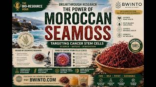 Moroccan Seamoss &amp; Cancer Stem Cell Research | The Science Behind Gigartina Pistillata