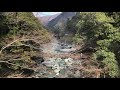 徳島県民謡「祖谷の粉ひき節」(西祖谷) "Iya no Kohiki Bushi"(Nishi Iya)