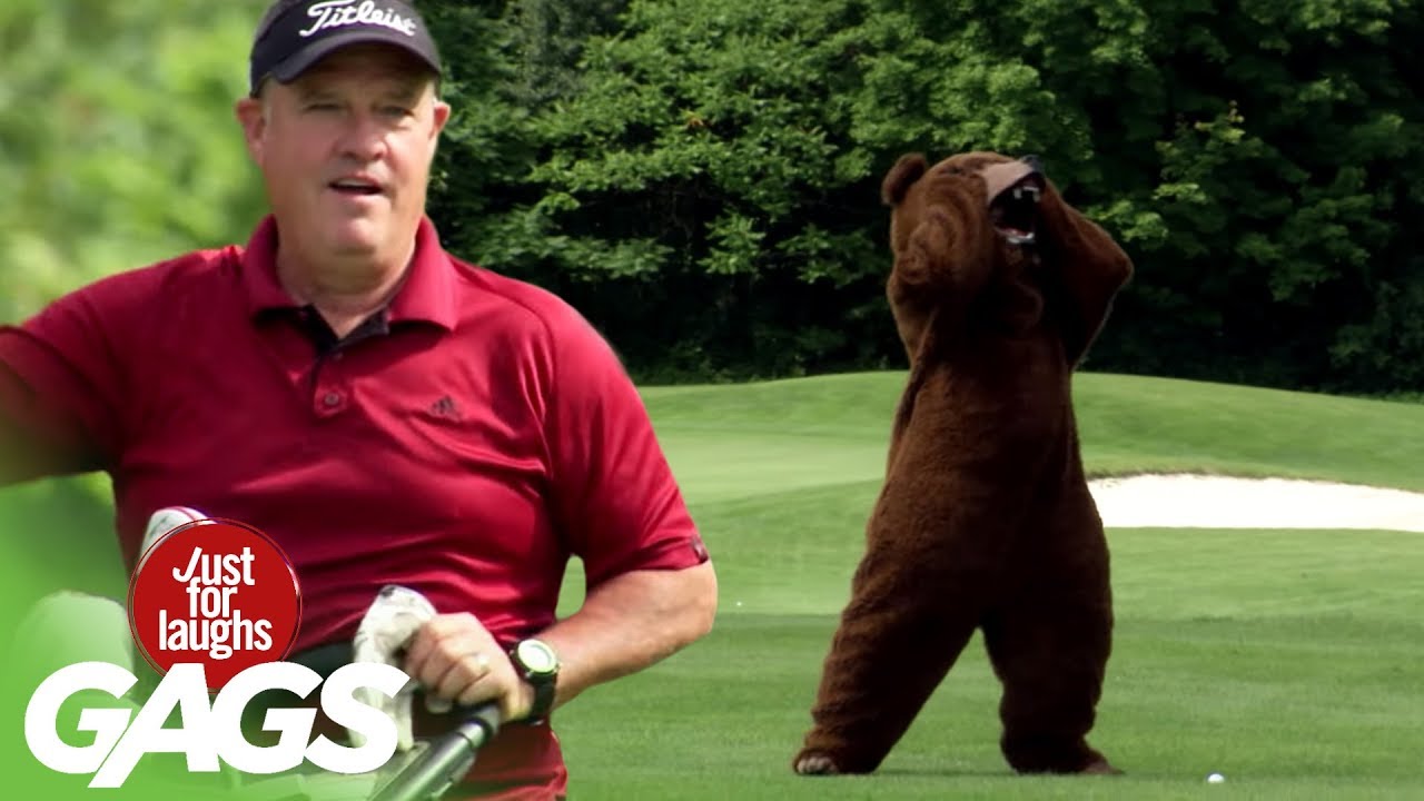 Bear on the Golf Course YouTube