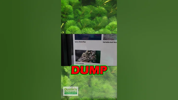 TOP 5 ILLEGAL FISH AND PLANTS INTRO - PART 2