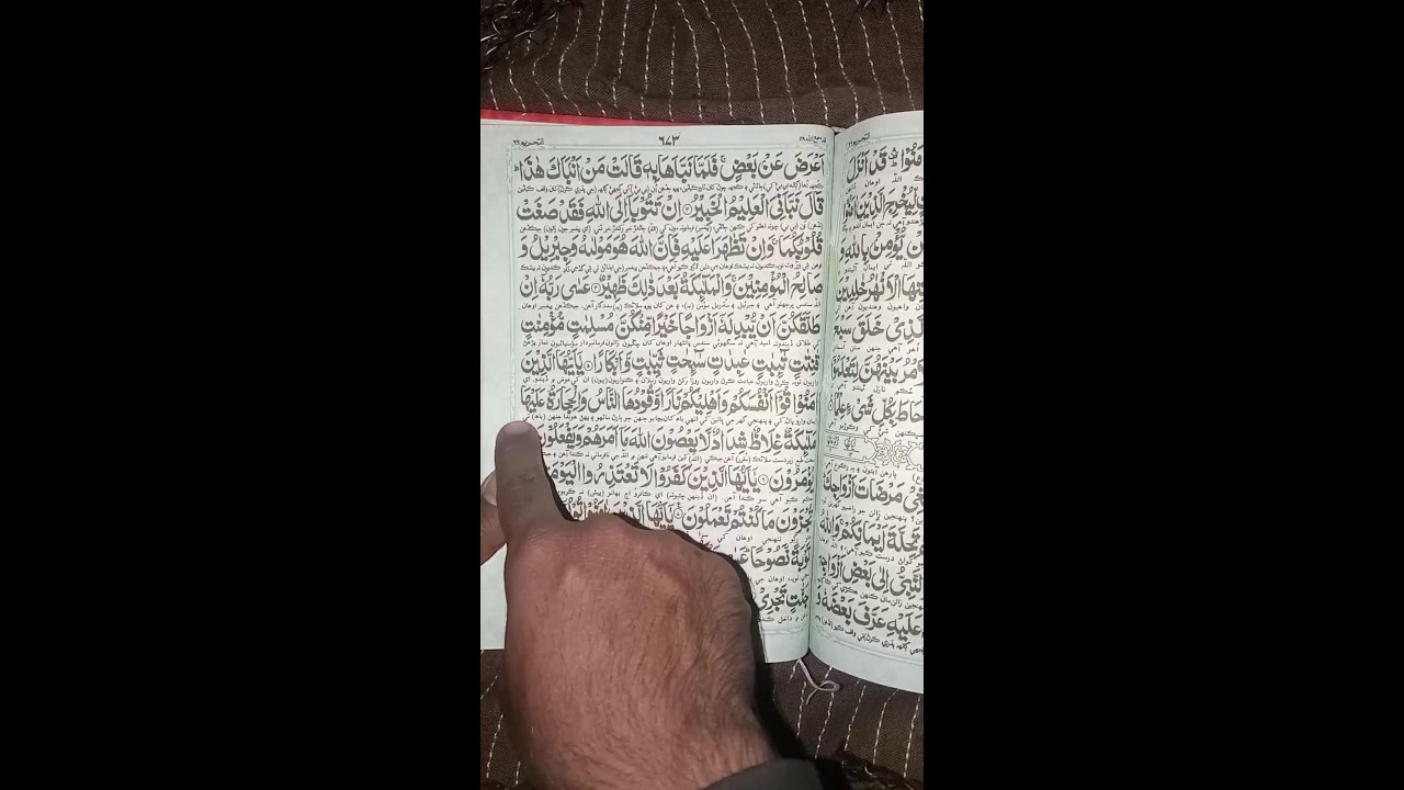 آئیے مل کر قرآن مجید کی تلاوت کرتے ہیں //Live Quran Tilawat