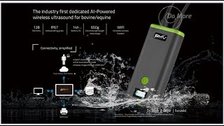 BMV bestscan S5plus 動画保存