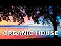 Tibetania Mix - Serene Organic House &amp; Ethnic Vibes | 2026