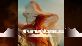 Ah Neyleyim Gönül Senin Elinden - Yeni Türküler