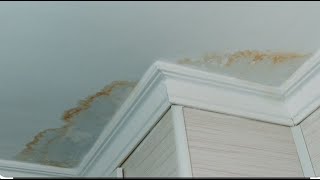 How to Paint Over Water Stains on your Ceiling:   5 Steps