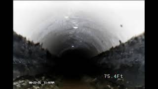 Video #1 from Huang Gardens Retaurant Unit 114