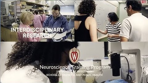 Interdisciplinary Research