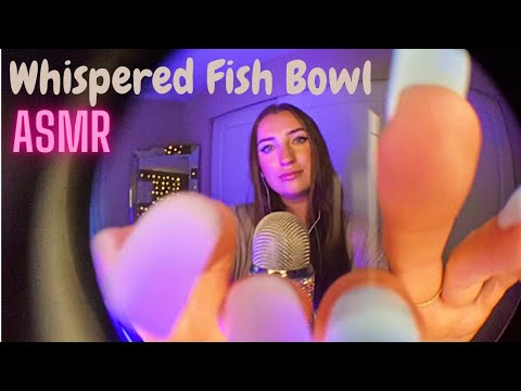 ASMR| Fish Bowl Effect ASMR (whispered)