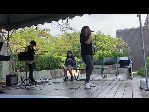唐貓 - 走