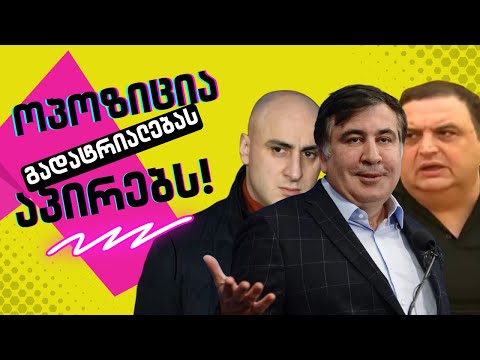 ხელისუფლების დამხობის ახალი გეგმა /#სამნი \u0026 Co./ 13.04.2022