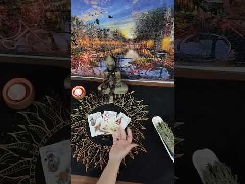 ندا تاروت پیام مهم لنورماند در مورد رابطه عاطفی شما