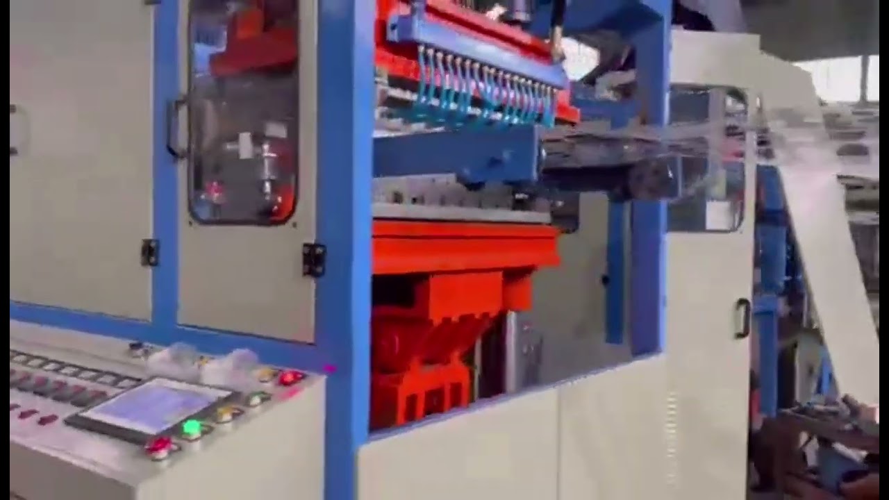 Disposable Transparent PP Water Cup/Glass Making Machine YouTube