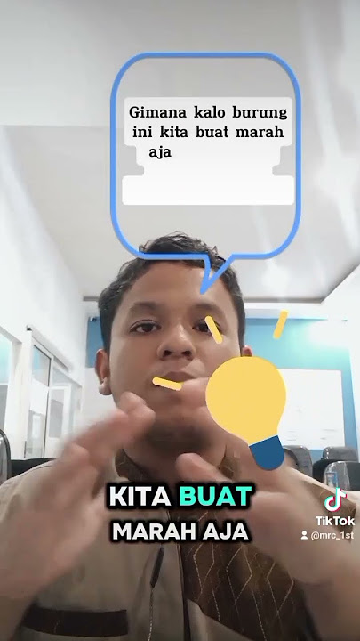 “Gara-Gara Gambar Burung Random… Dunia Jadi Kenal Angry Birds!”