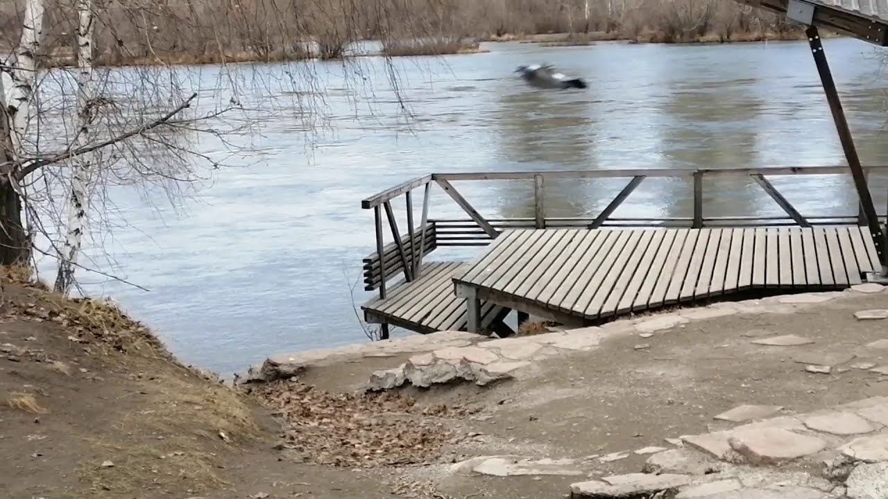 Прогулки с КатейТор по острову Татышев | С КатейТор прогуливаемся и худеем