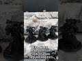 Warlord's Workshop #53: My Night Lords Warband So Far!