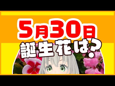 【花言葉】5月30日の誕生花は？／花白もか