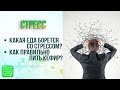 Cтресс | Какая еда борется со стрессом?