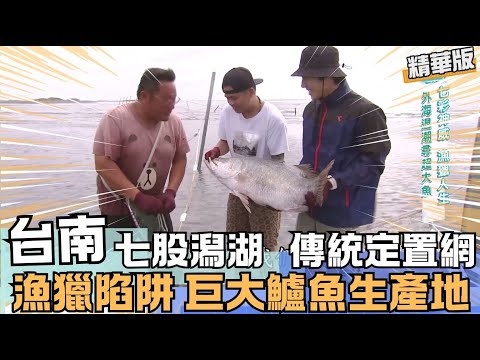 【台南】七股潟湖 傳統定置網~巨大鱸魚生產地!｜《世界第一等》1067集 精華版