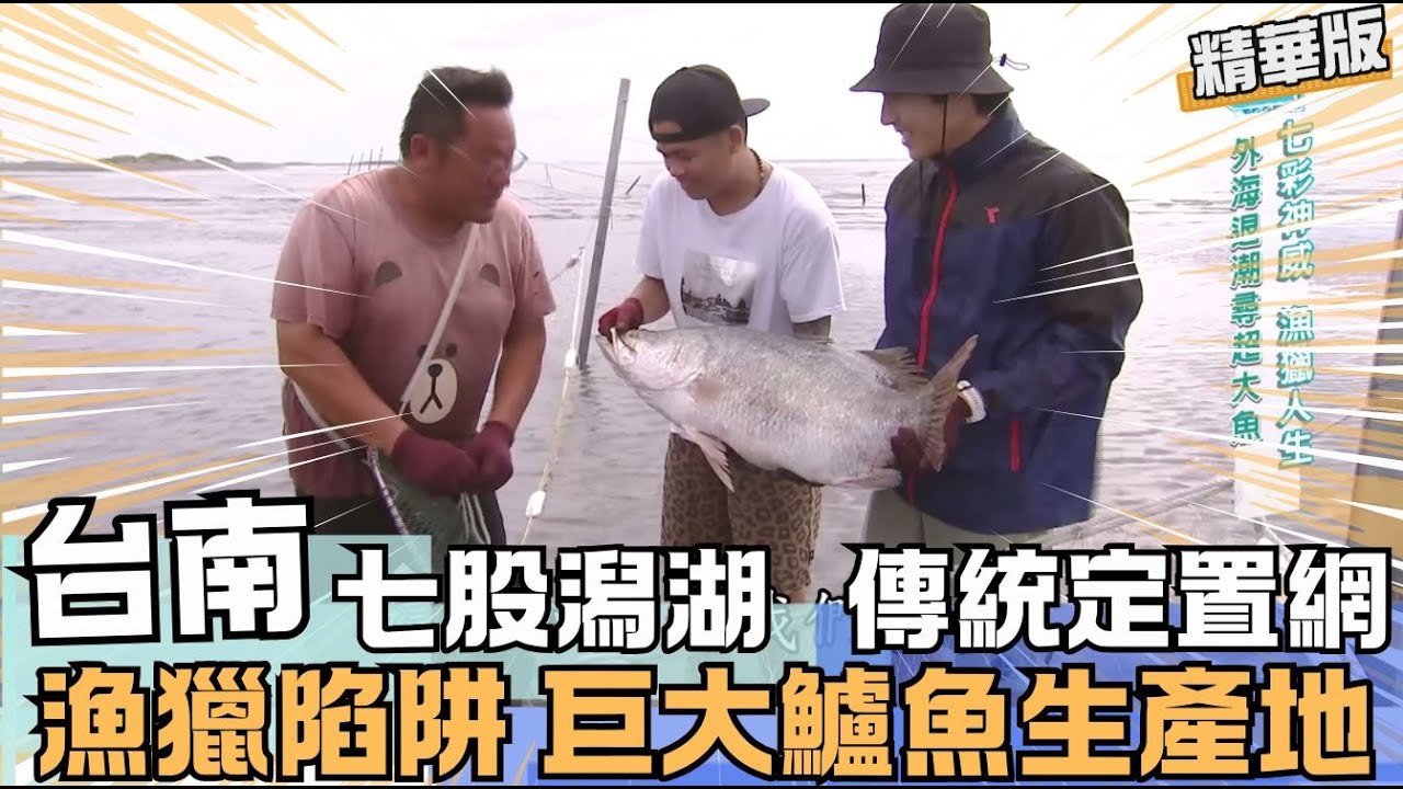 【台南】七股潟湖 傳統定置網~巨大鱸魚生產地!｜《世界第一等》1067集 精華版