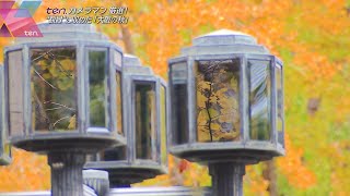 額縁に収めた『大阪の秋』