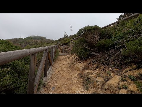 La Ciudad reforzará el control de los montes con cuatro plazas de ayudante de medio forestal