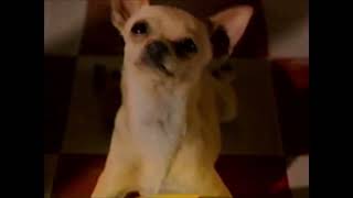 Retro Kibble N Bits Bacon N Cheeez Dog Food Commercial 90S